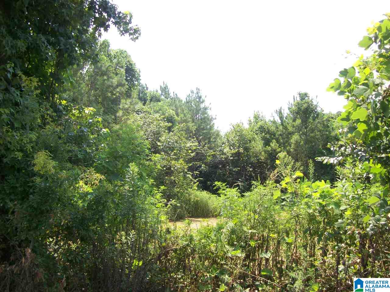 Francis Mill Road Ohatchee, AL 36271 - Photo 4 of 9