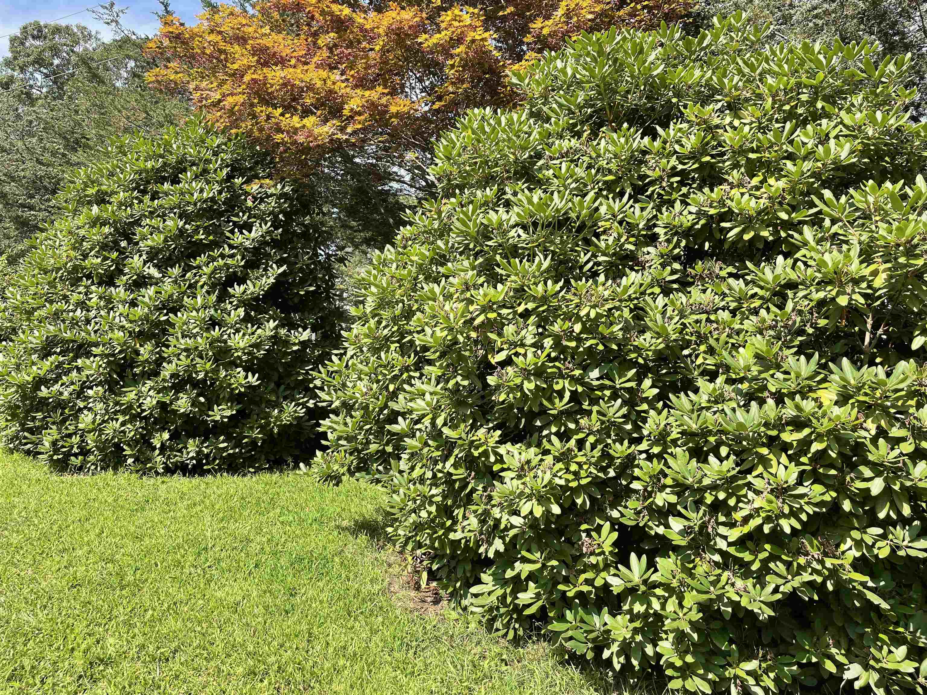 86 South Road North Hampton, NH 03862 - Photo 6 of 40
