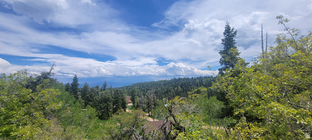 1920 Elk Road, Unit 78 Coalville, UT 84017 - Photo 17 of 23 Mountain view with a forest