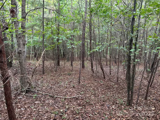 $35,000 | 0 North Dakota Drive, Rutherfordton, NC 28139