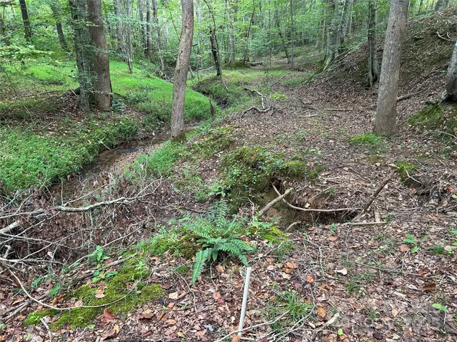 $35,000 | 0 North Dakota Drive, Rutherfordton, NC 28139