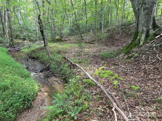 $35,000 | 0 North Dakota Drive, Rutherfordton, NC 28139