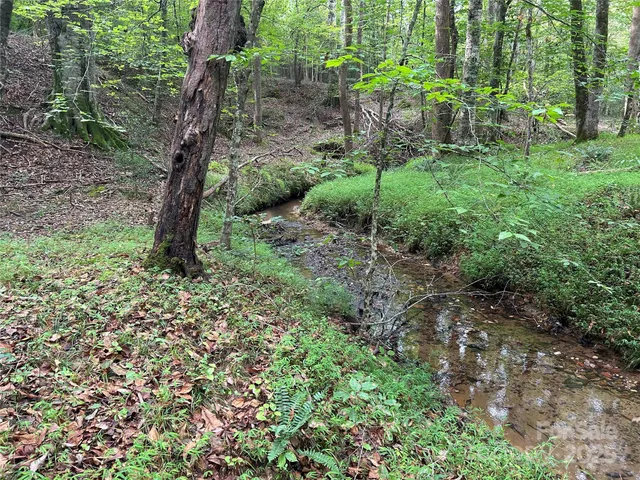 $35,000 | 0 North Dakota Drive, Rutherfordton, NC 28139