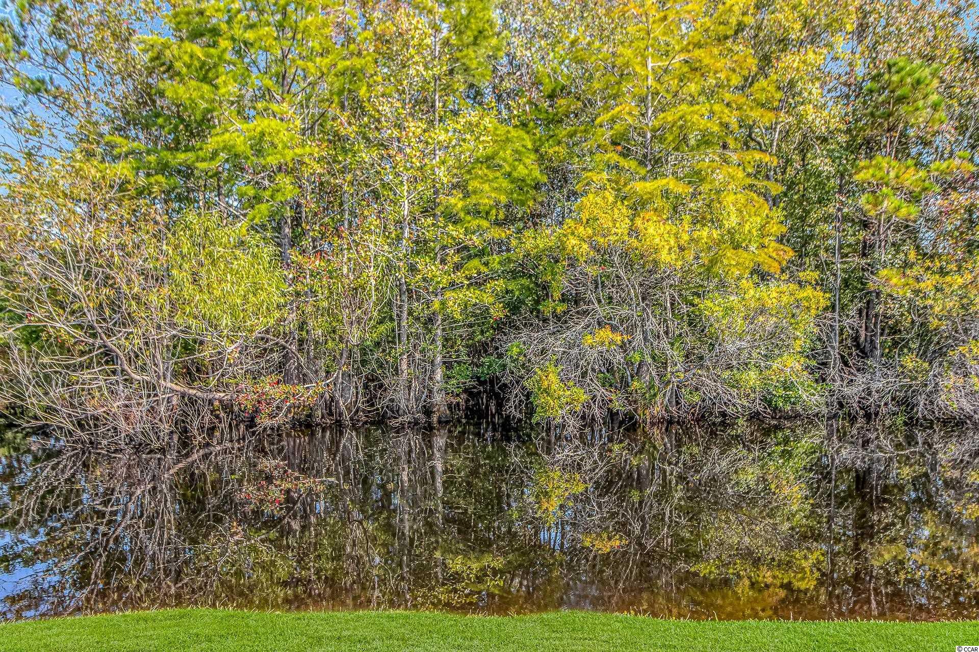 109 Chestnut Estates Road Longs, SC 29568 - Photo 25 of 29 Gallery Image 25