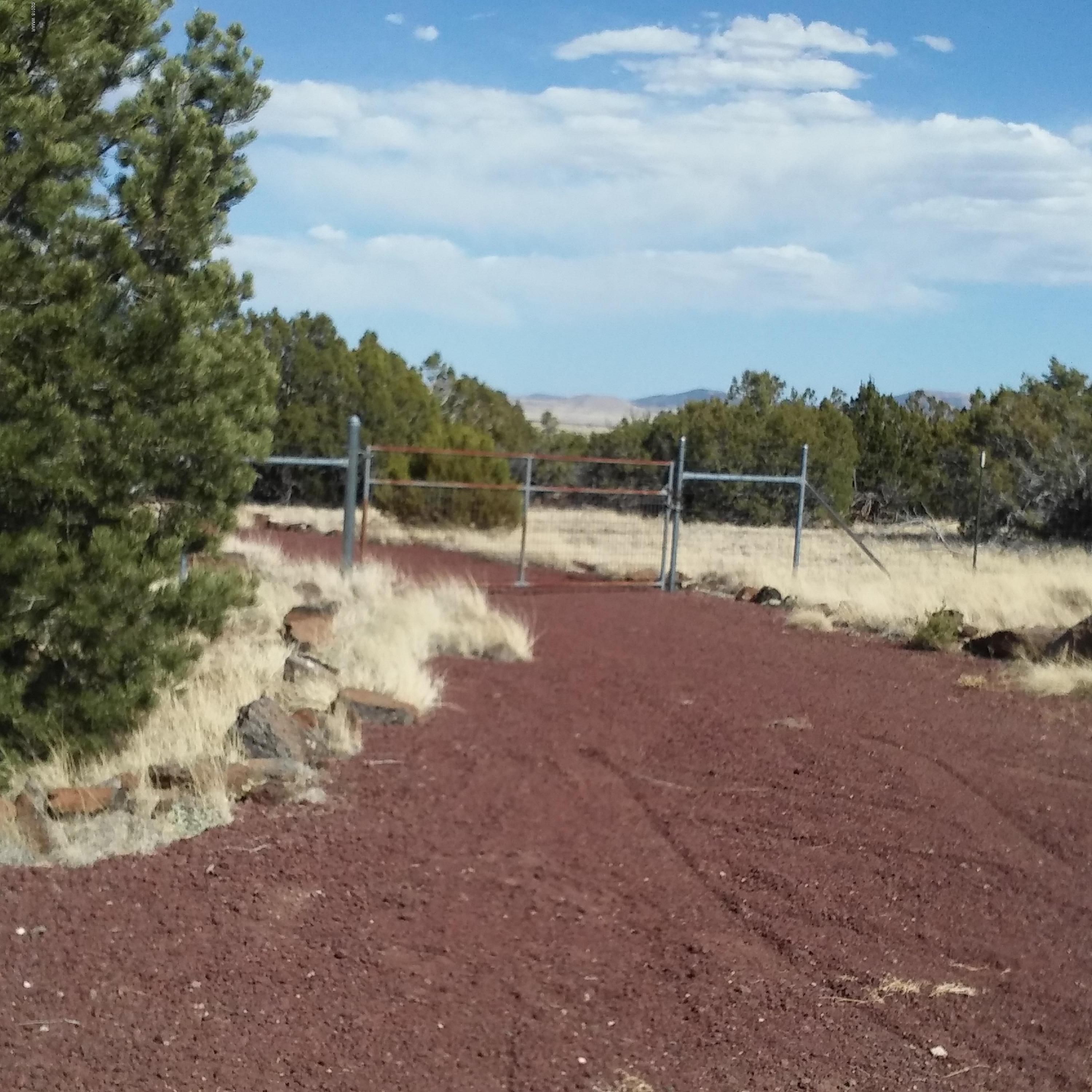 Lot 14 A Pine Ridge Ranch Concho, AZ 85924 - Photo 6 of 6