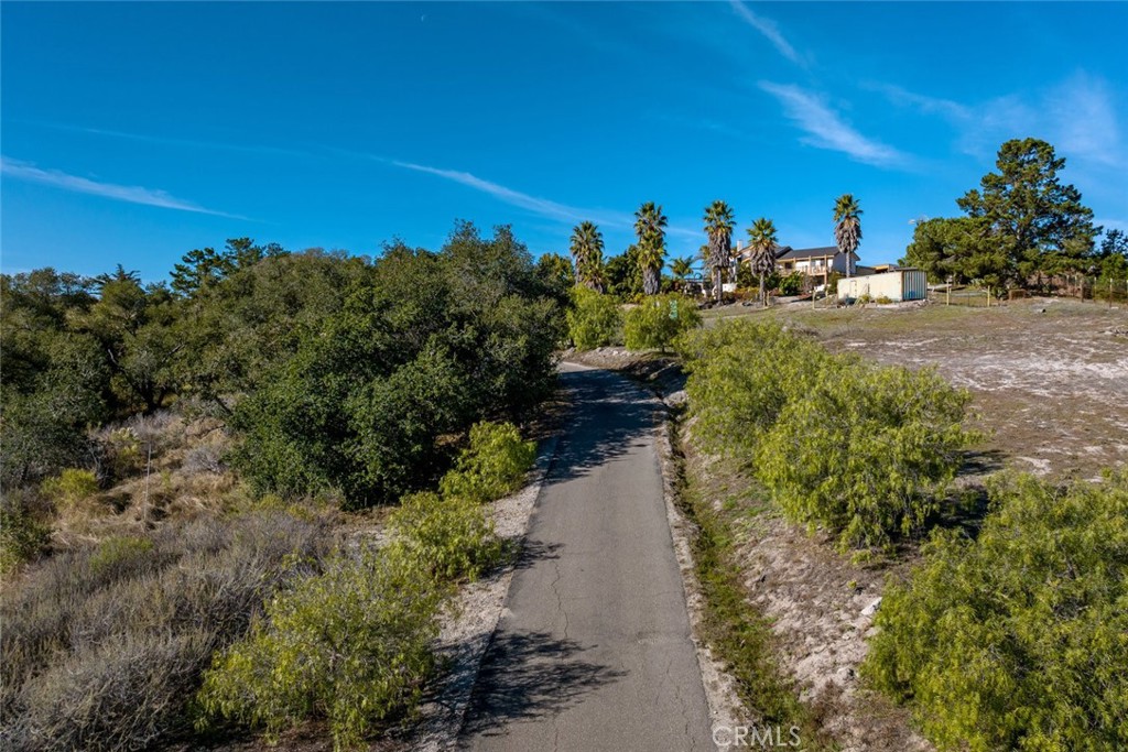 330 East Ormonde Road Arroyo Grande, CA 93420 - Photo 54 of 56 a view of a yard with palm trees