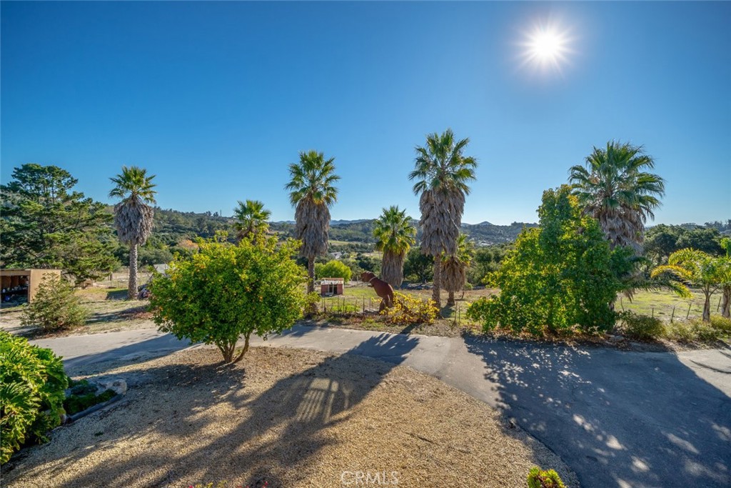 330 East Ormonde Road Arroyo Grande, CA 93420 - Photo 6 of 56 a view of a backyard of the house