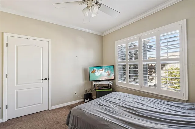 a bedroom with a large bed and a window