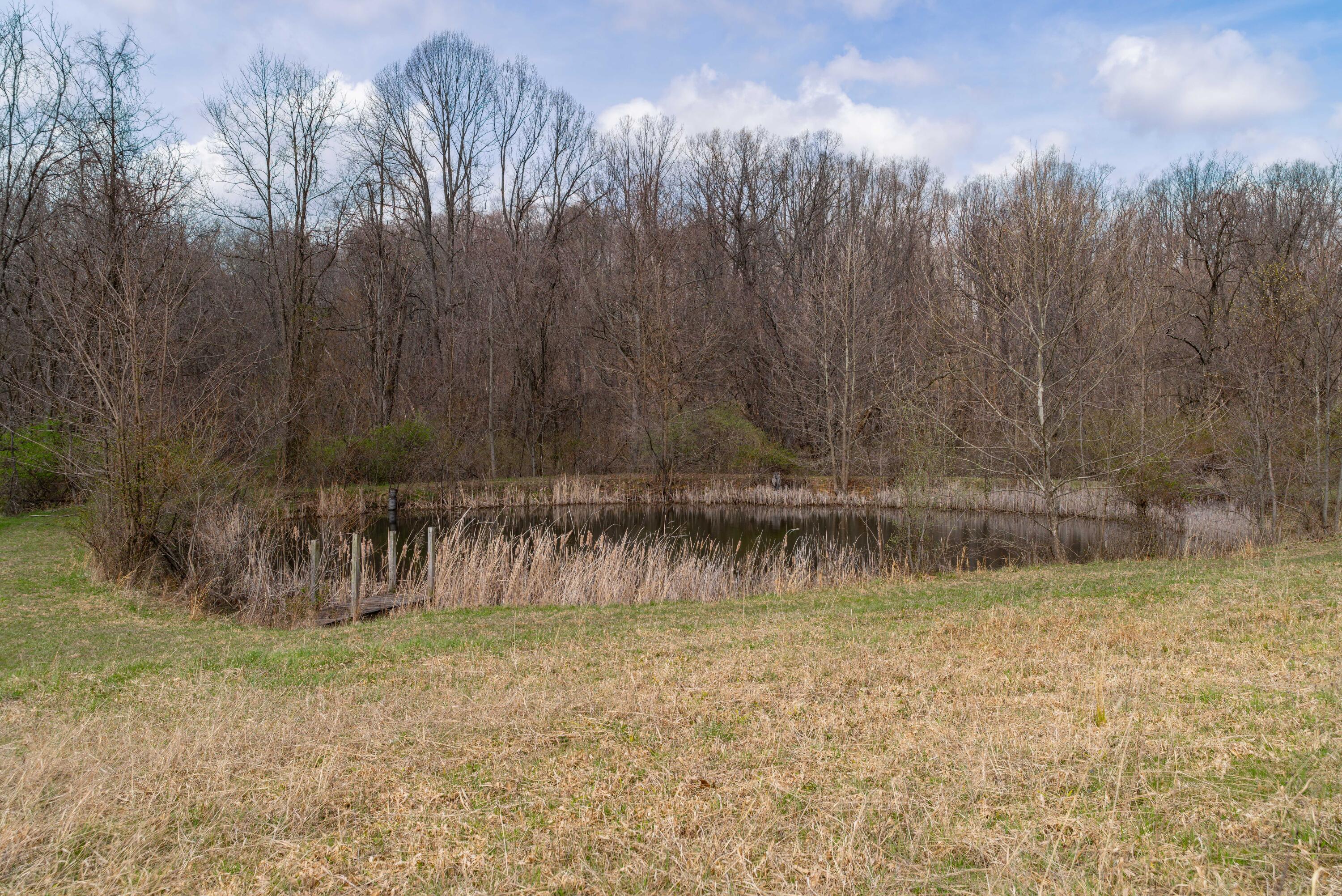 14120 Union Road Laurelville, OH 43135 - Photo 3 of 23 Gibson Hocking Land-2