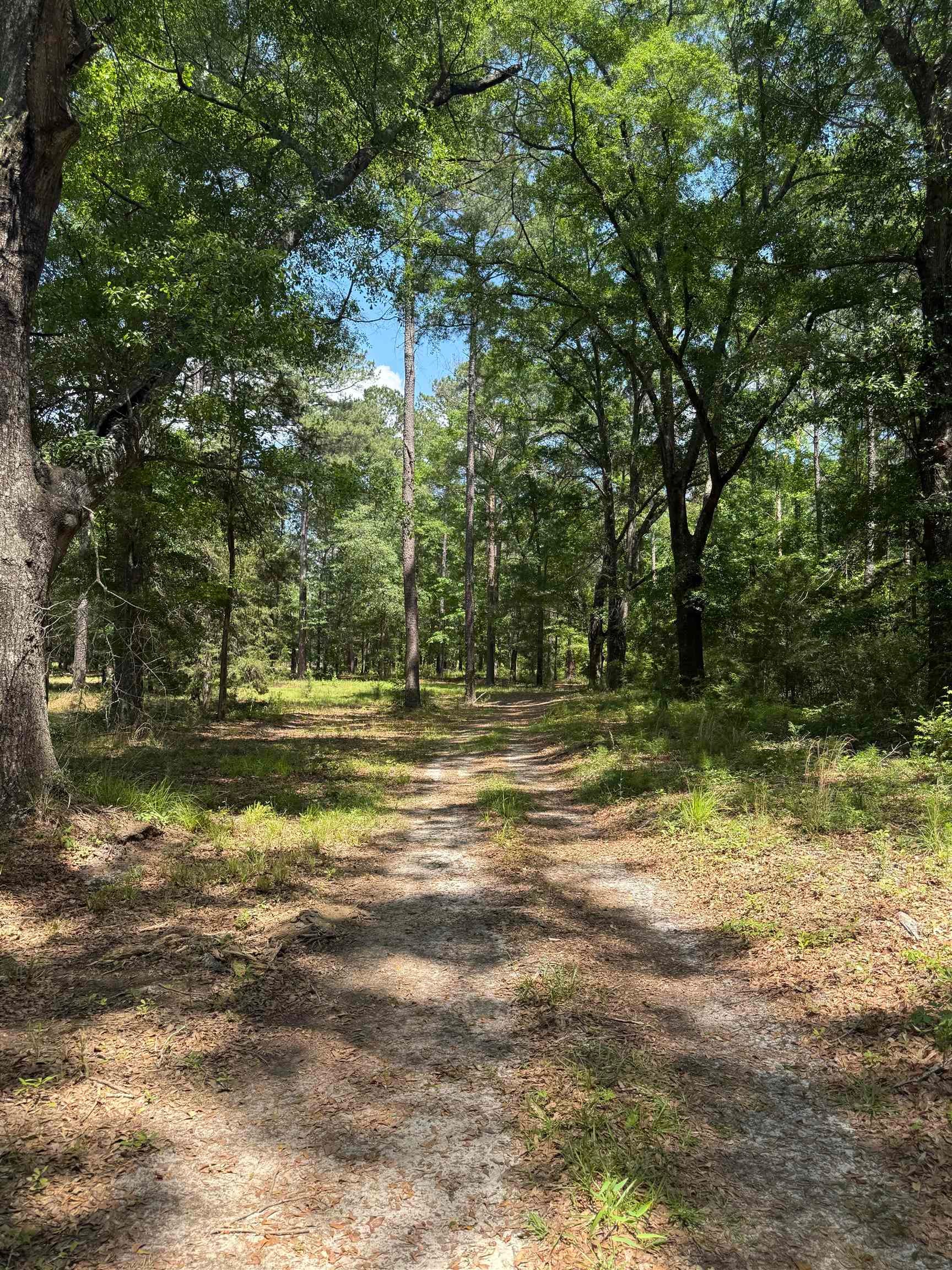 0 Straughn School Road Andalusia, AL 36421 - Photo 1 of 4 Gallery Image 1