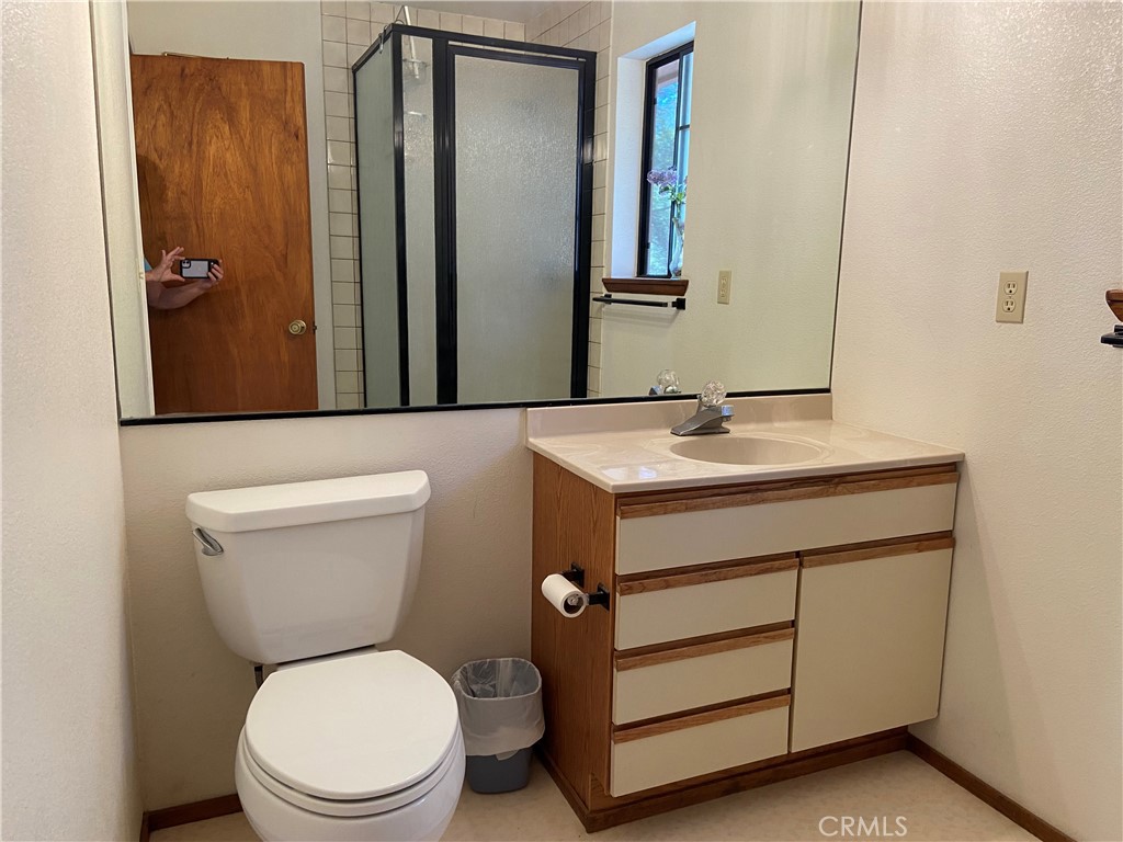 3692 Manzanita Road Mariposa, CA 95338 - Photo 50 of 71 a bathroom with a sink a toilet and mirror