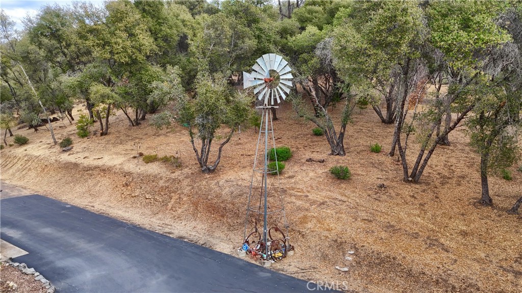 3692 Manzanita Road Mariposa, CA 95338 - Photo 54 of 71 a view of a yard with plants and trees