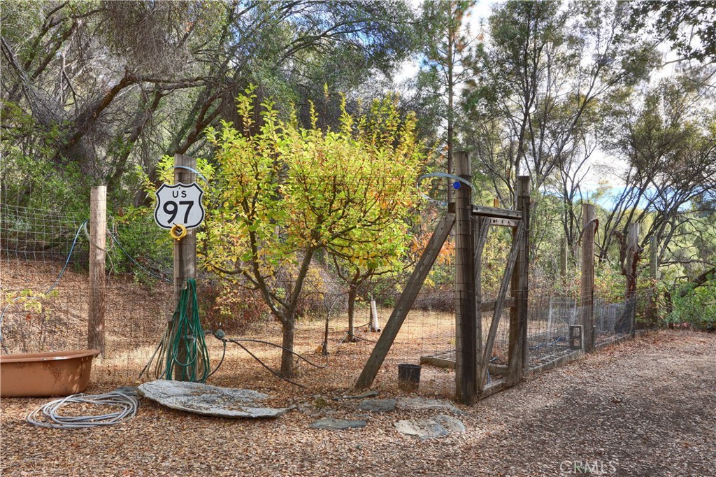 3692 Manzanita Road Mariposa, CA 95338 - Photo 61 of 71 Your own fenced Orchard and garden area!