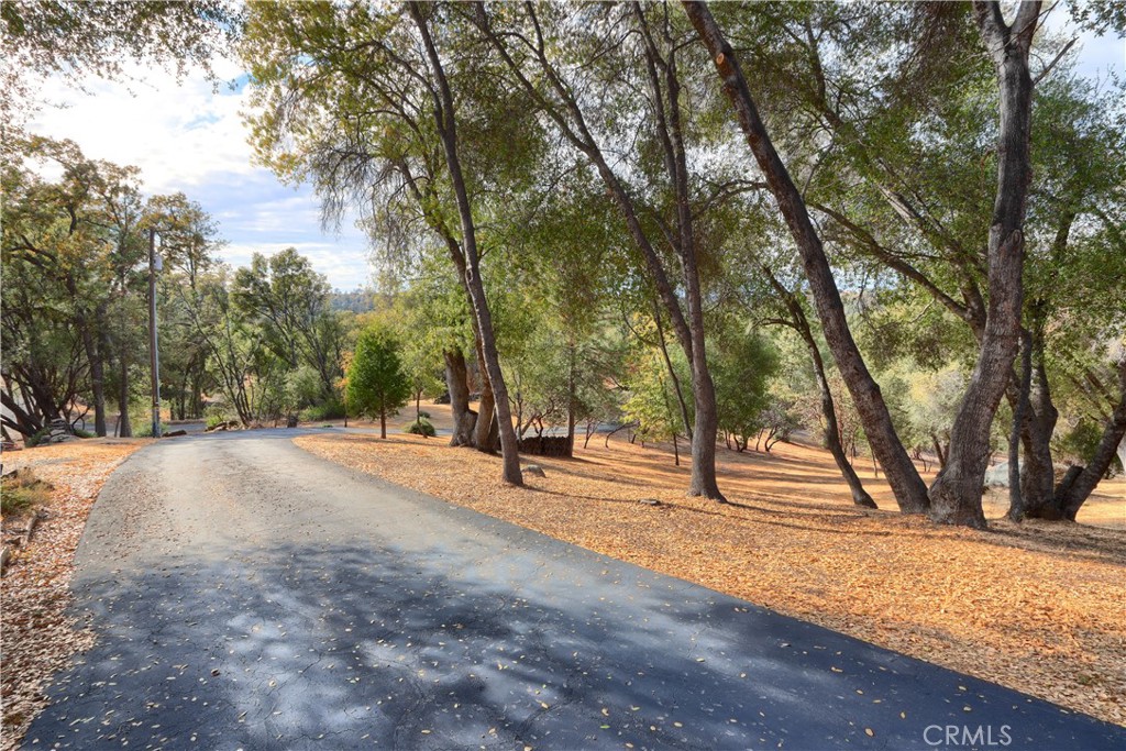 3692 Manzanita Road Mariposa, CA 95338 - Photo 66 of 71 Paved driveway through this beautifully manicured property leading to your dream home!