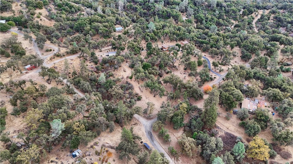 3692 Manzanita Road Mariposa, CA 95338 - Photo 68 of 71 a view of a city with lush green forest