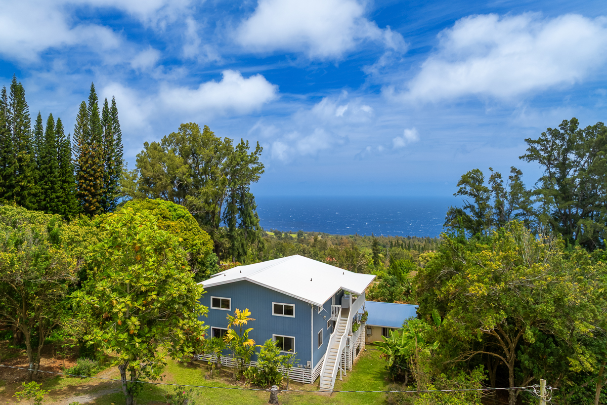 44-2609 Kalopa Mauka Road Honokaa, HI 96727 - Photo 27 of 29