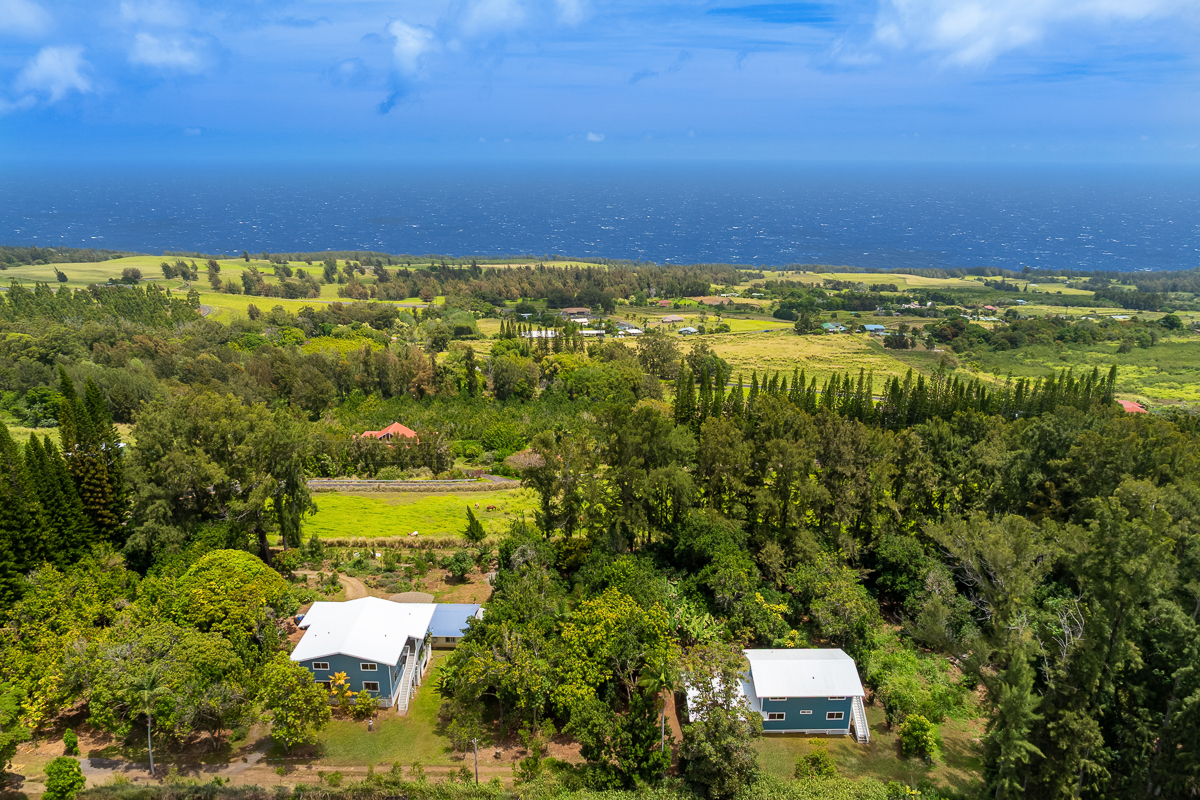 44-2609 Kalopa Mauka Road Honokaa, HI 96727 - Photo 28 of 29