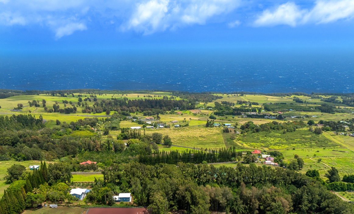 44-2609 Kalopa Mauka Road Honokaa, HI 96727 - Photo 3 of 29
