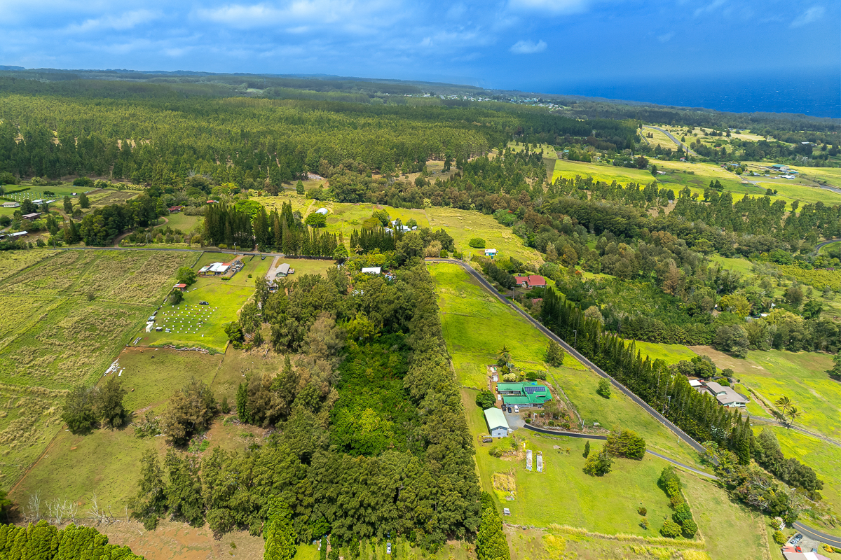44-2609 Kalopa Mauka Road Honokaa, HI 96727 - Photo 4 of 29