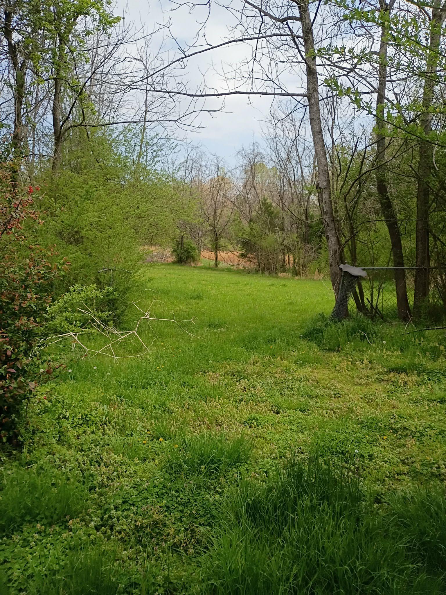 5255 Highway 30 Decatur, TN 37322 - Photo 16 of 36 View of yard