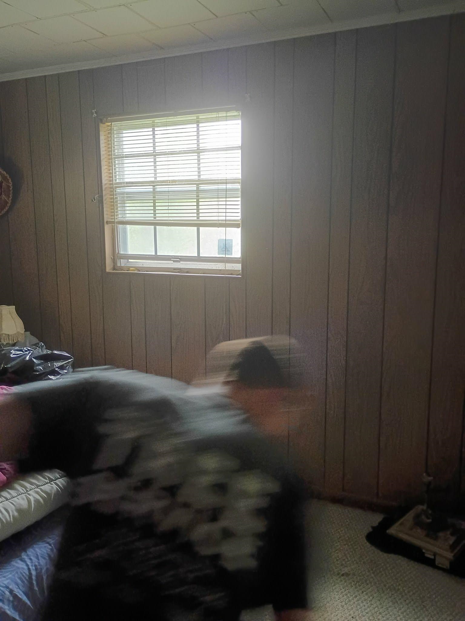 5255 Highway 30 Decatur, TN 37322 - Photo 35 of 36 Bedroom with wood walls