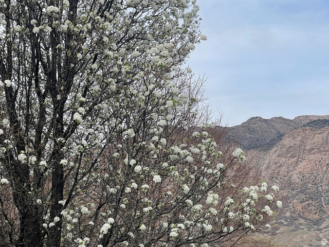 101 1501 Monroe, Unit 101 Ogden, UT 84404 - Photo 24 of 24 View of mountain background