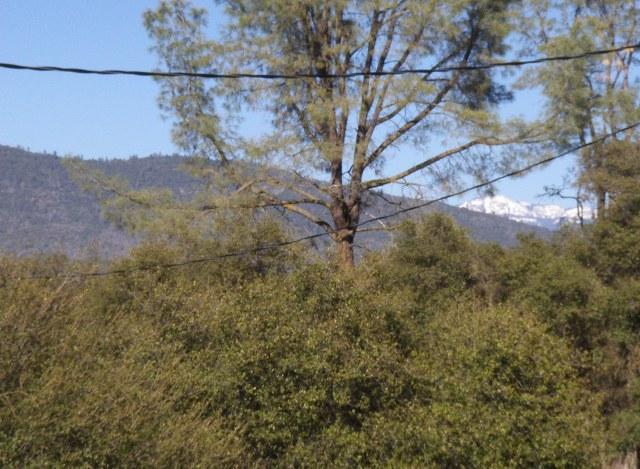 31649 Sioux Road Coarsegold, CA 93614 - Photo 29 of 35 Gallery Image 29