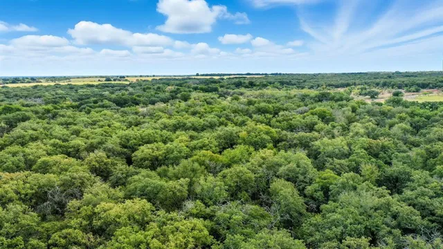 a view of a city with lots of trees