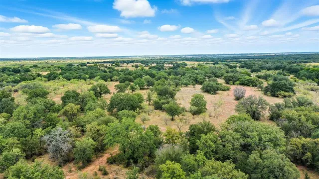a view of a yard with plants and a yard