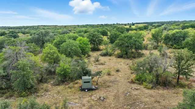 a view of a bunch of trees