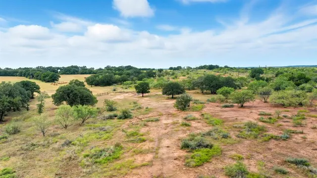 a view of a green field with lots of bushes