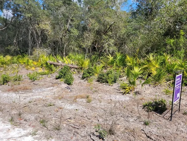 a view of a yard with plants and tree