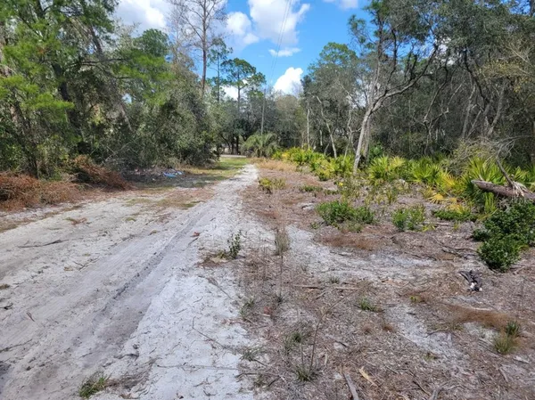 a view of a dirt road and trees