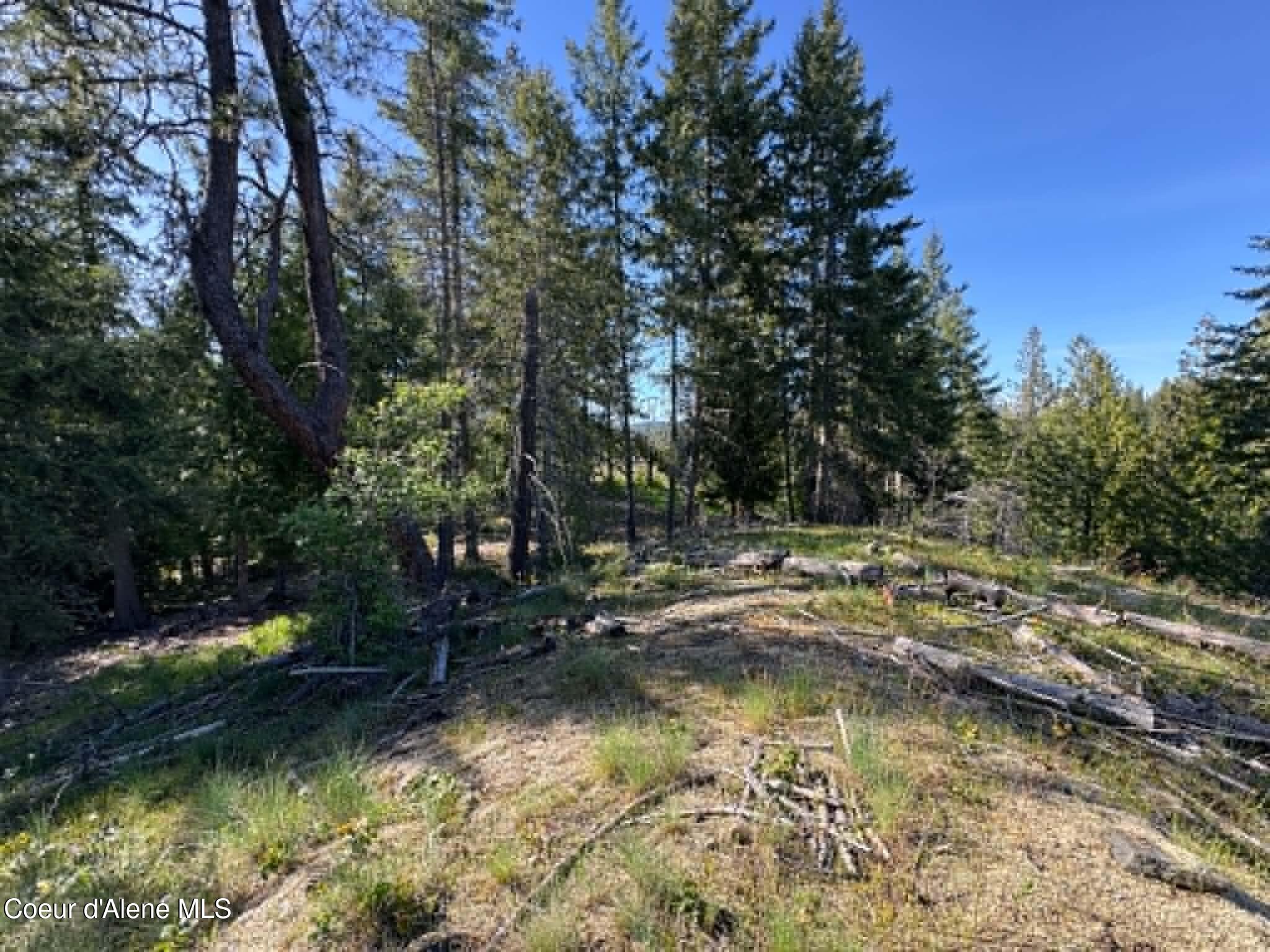 90 Shawnee Path Sagle, ID 83860 - Photo 22 of 47 f444875e-5a7b-43be-9e06-cc8abe14b84e
