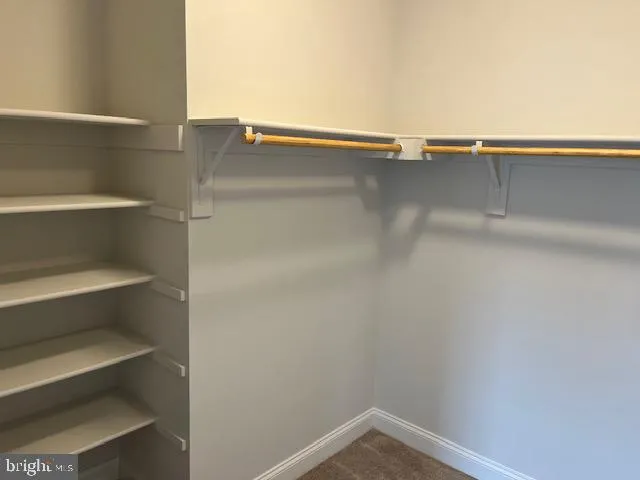 a view of a closet with storage