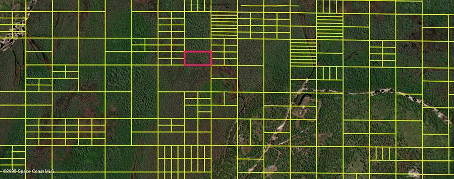 14110020 Holopaw Groves Rd Street St. Cloud, FL 34773 - Photo 2 of 2 a view of a room and a window