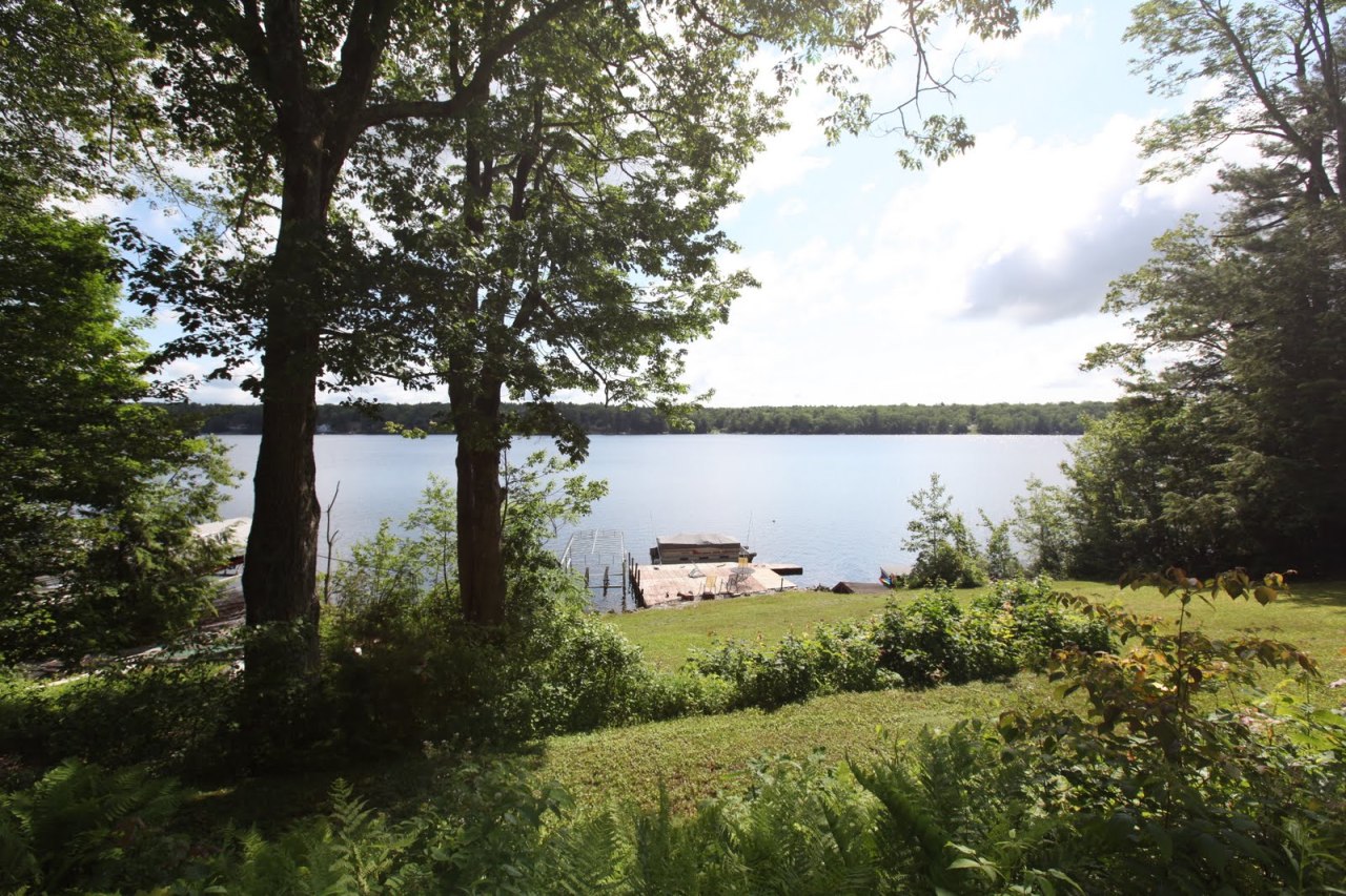 427 Pine Road Otis, MA 01029 - Photo 27 of 30 a green field with lots of trees in it
