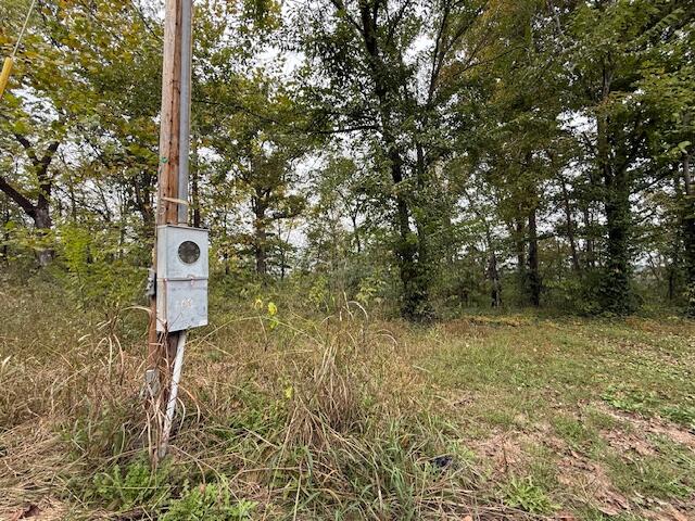 Lot 20 Rabbit Run Cape Cape Fair, MO 65624 - Photo 1 of 6 Utility Access
