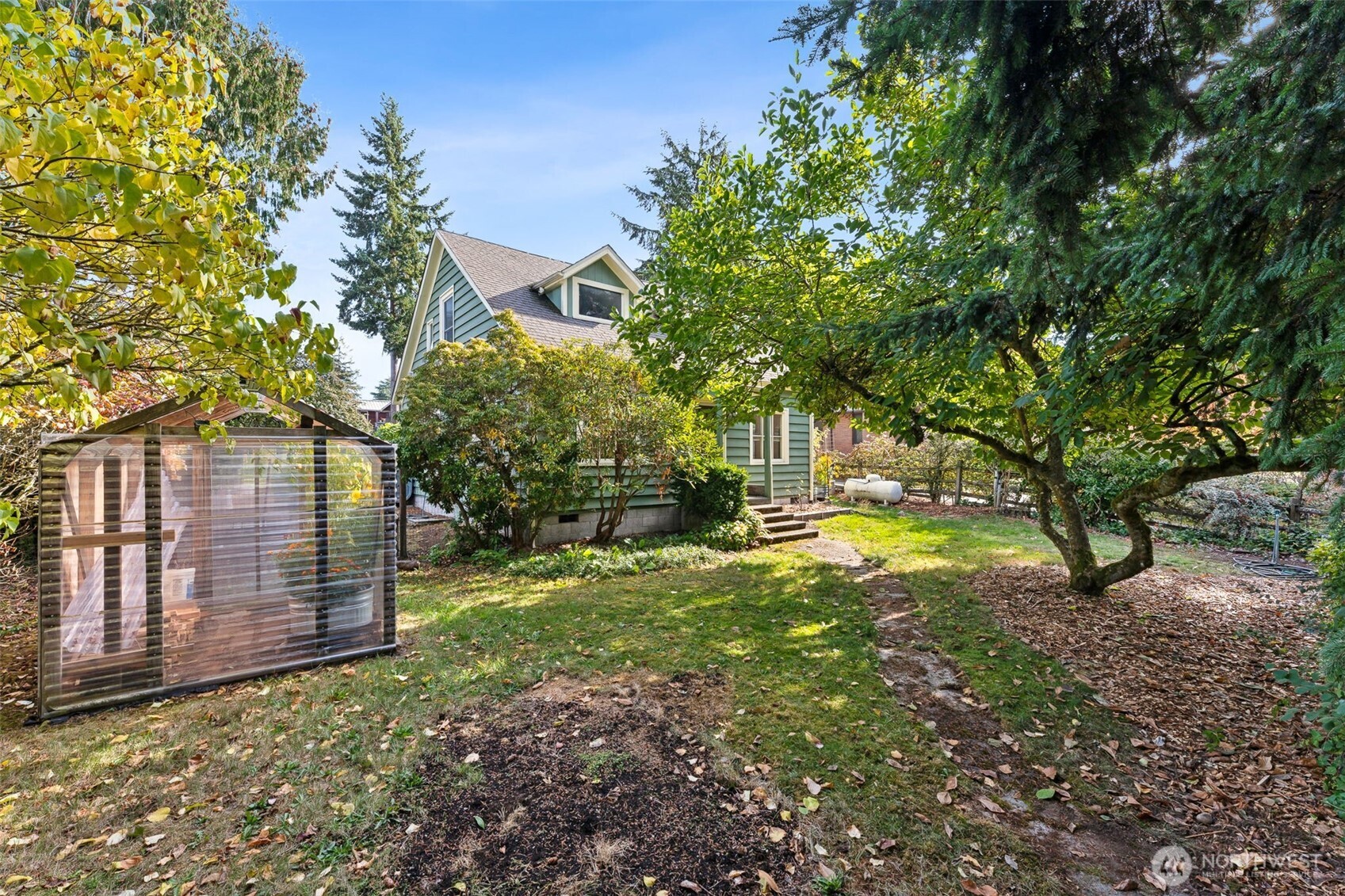 15620 21st Avenue Southwest Burien, WA 98166 - Photo 15 of 38 a view of backyard with tree