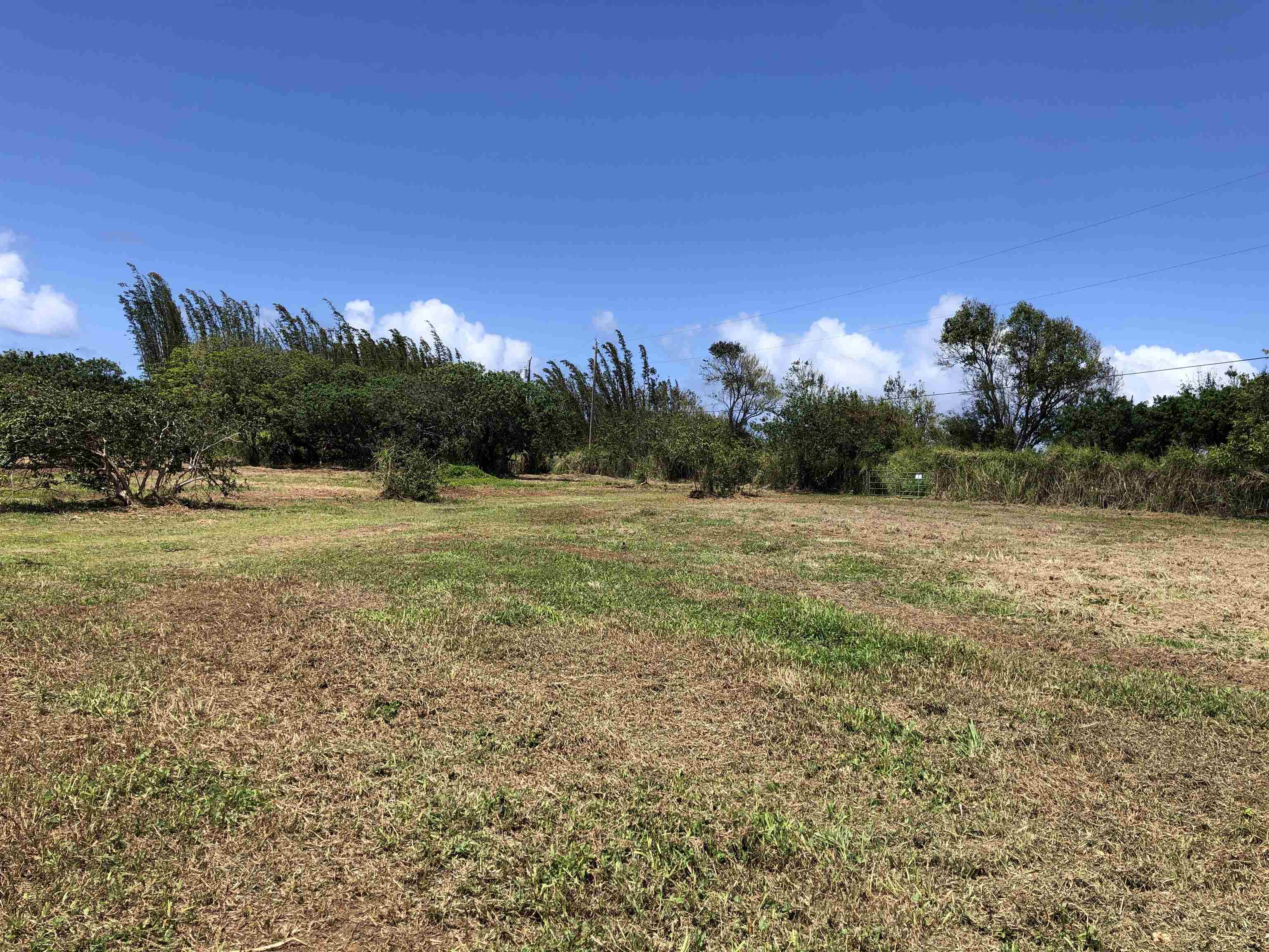 0 Haumana Road, Unit A Haiku, HI 96708 - Photo 11 of 24 a view of a field with an ocean