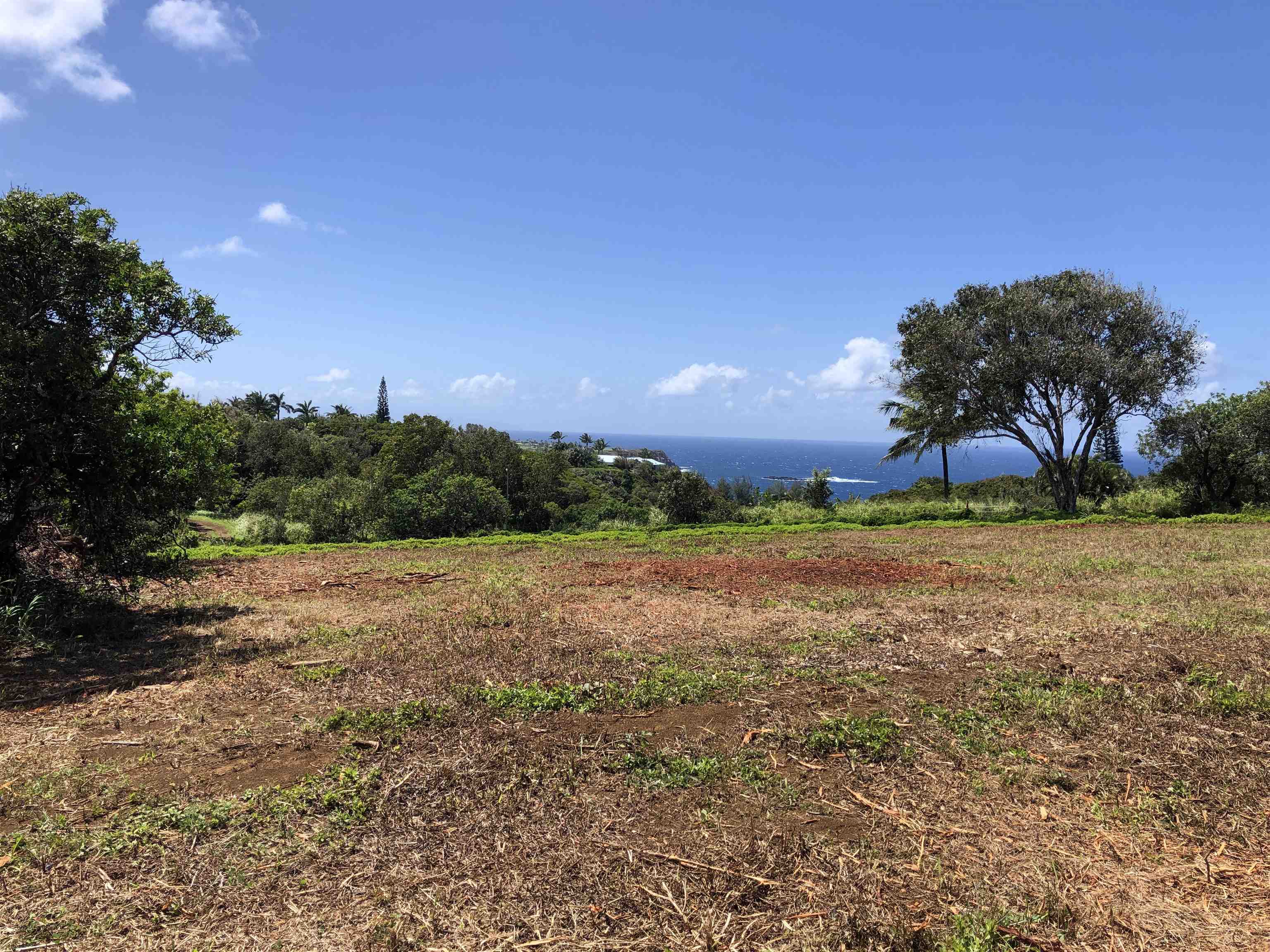 0 Haumana Road, Unit A Haiku, HI 96708 - Photo 12 of 24 a view of an outdoor space and a yard