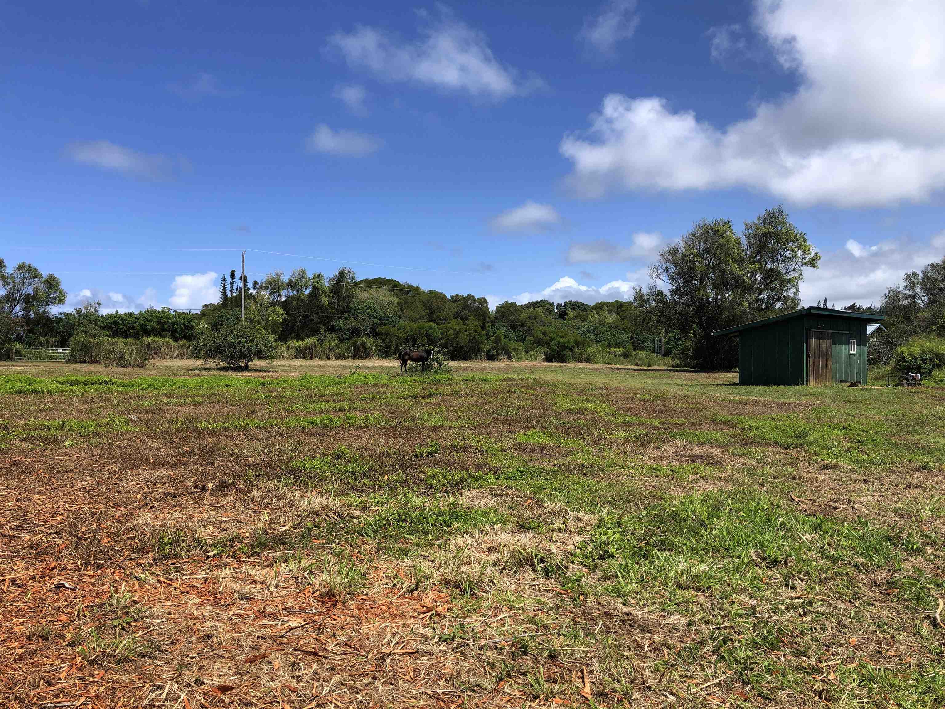 0 Haumana Road, Unit A Haiku, HI 96708 - Photo 13 of 24 a view of a lake with a yard