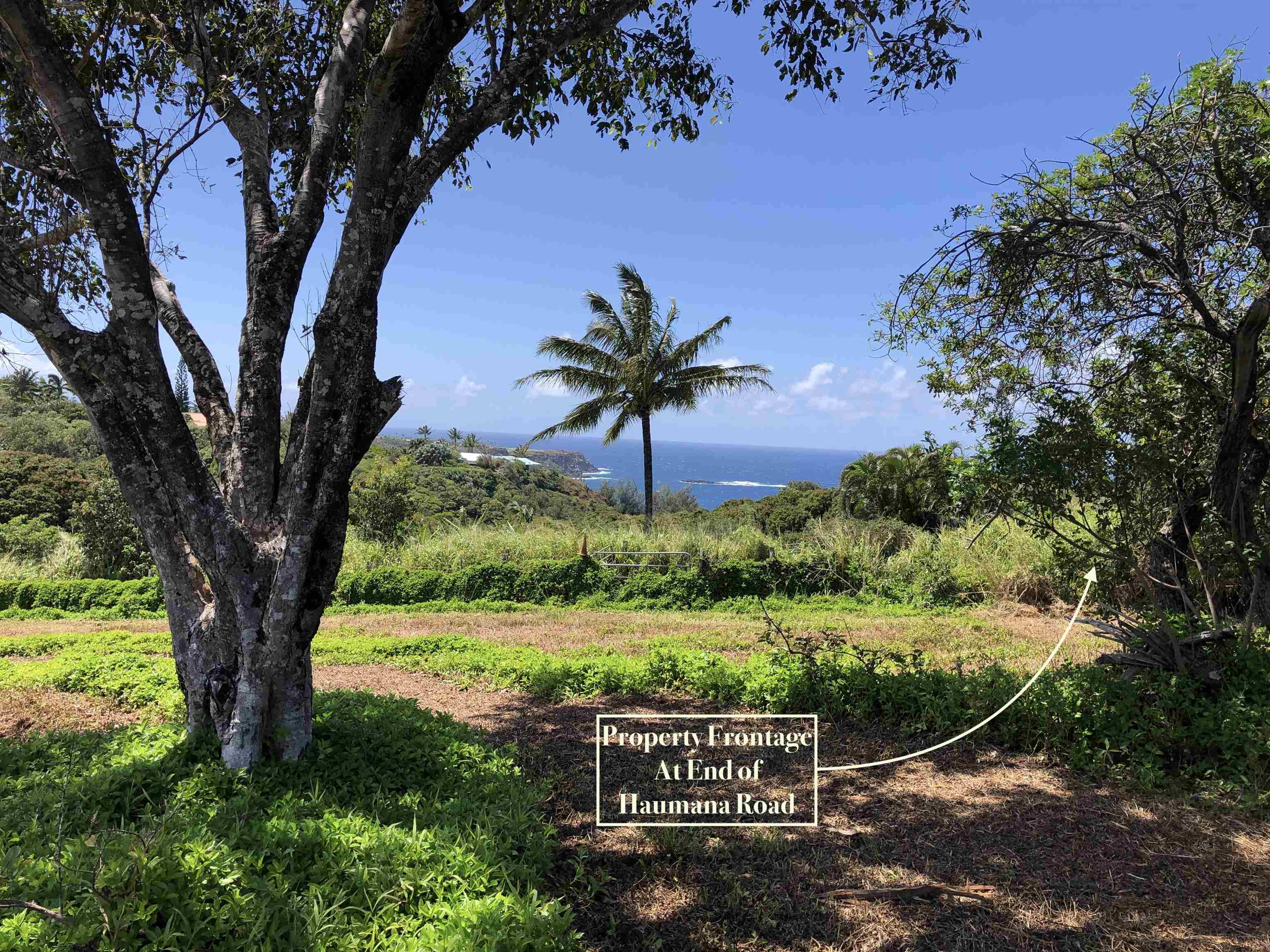 0 Haumana Road, Unit A Haiku, HI 96708 - Photo 14 of 24 a view of a garden with a tree