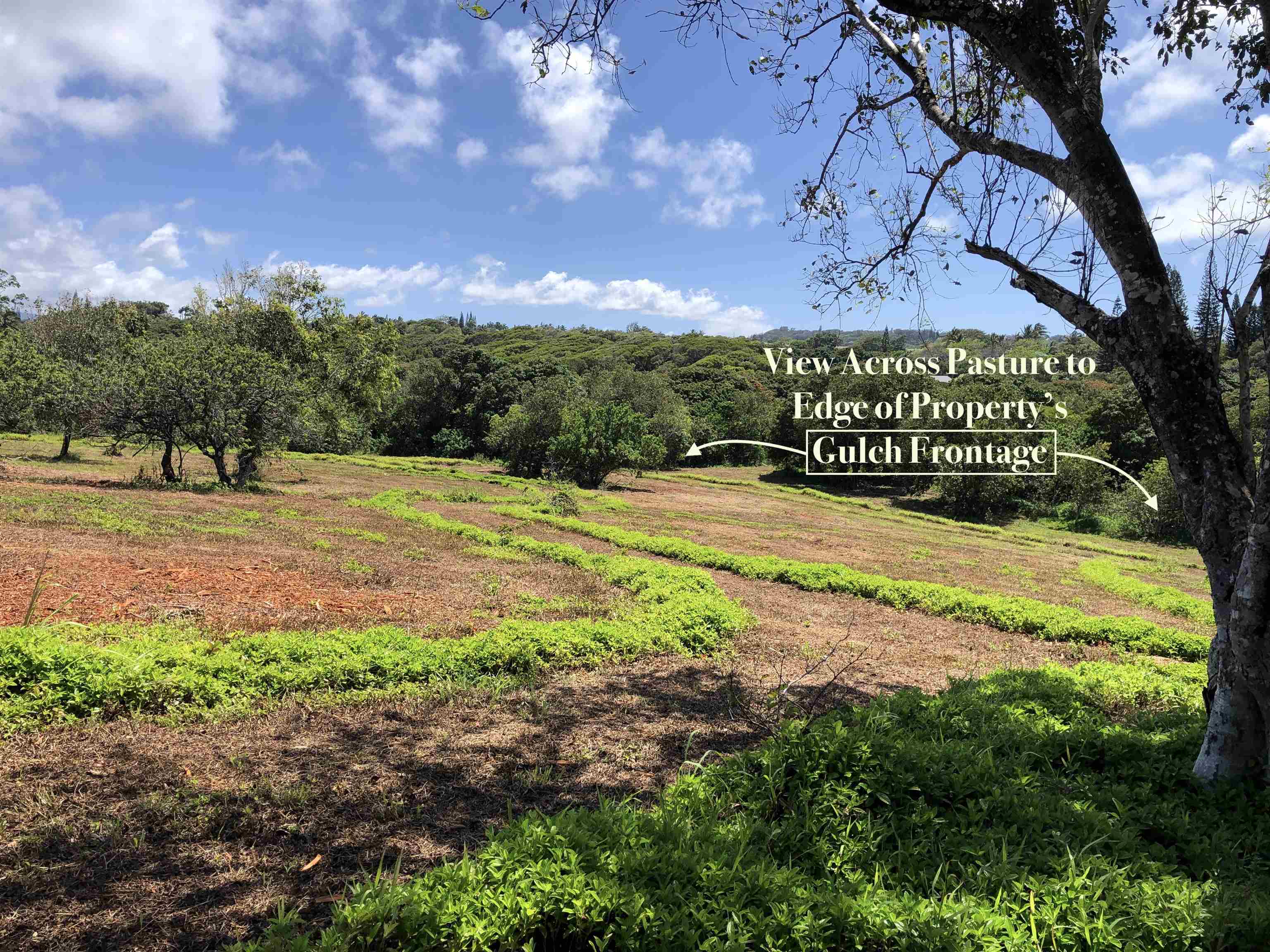 0 Haumana Road, Unit A Haiku, HI 96708 - Photo 15 of 24 a view of an outdoor space yard patio and entertaining space