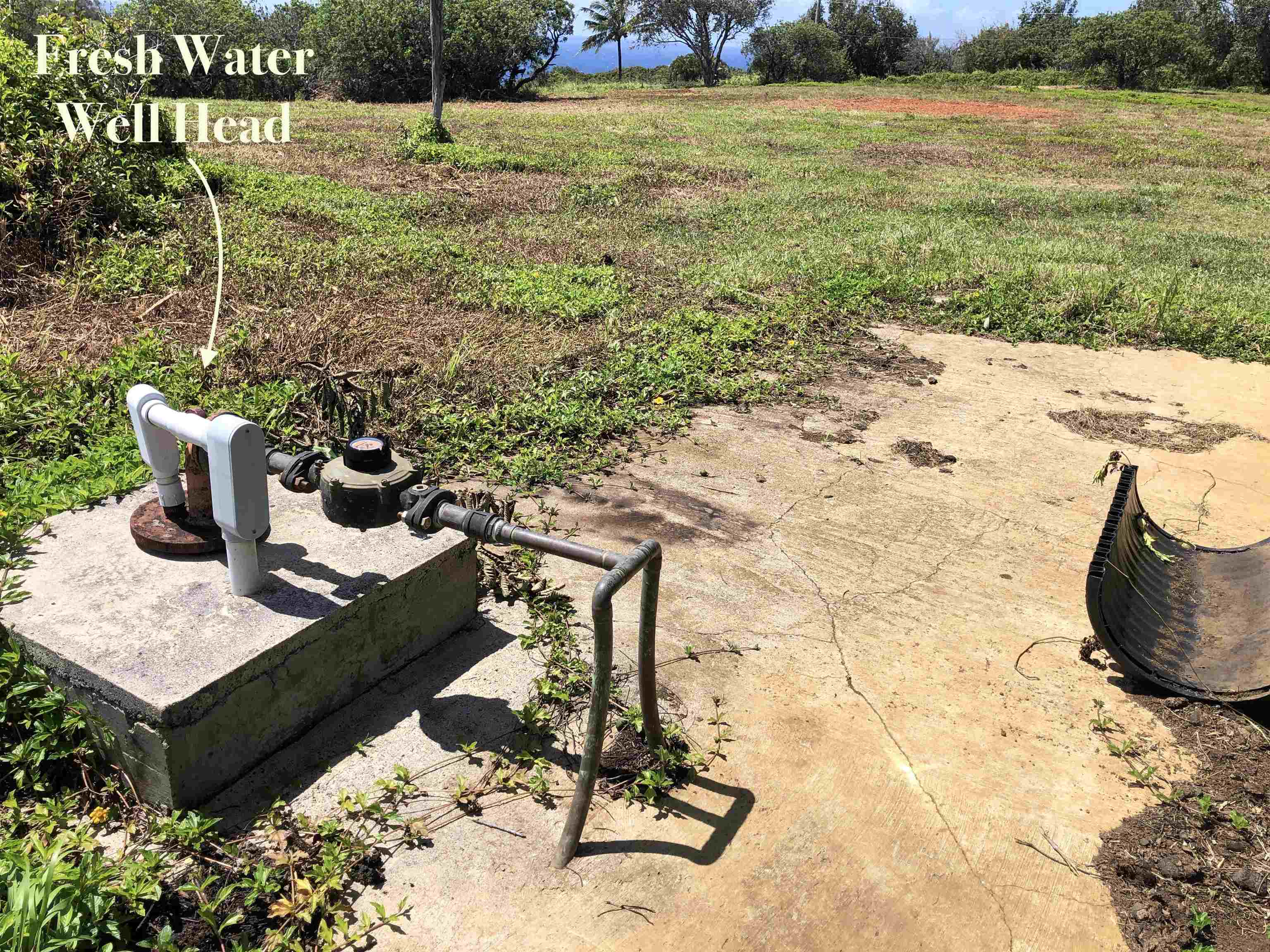 0 Haumana Road, Unit A Haiku, HI 96708 - Photo 16 of 24 a view of yard from a lake