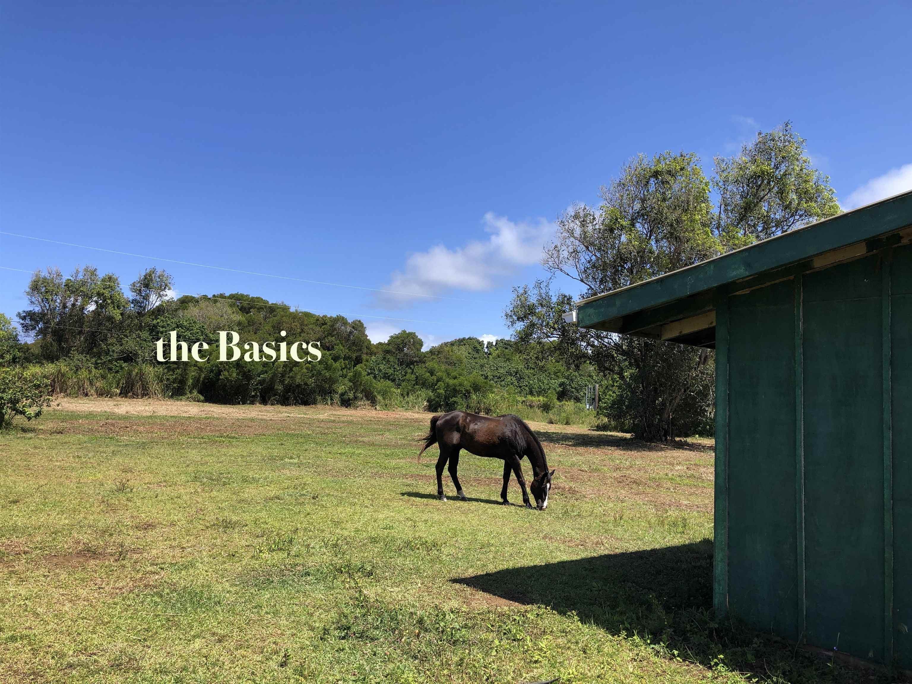 0 Haumana Road, Unit A Haiku, HI 96708 - Photo 17 of 24 a view of swimming pool yard