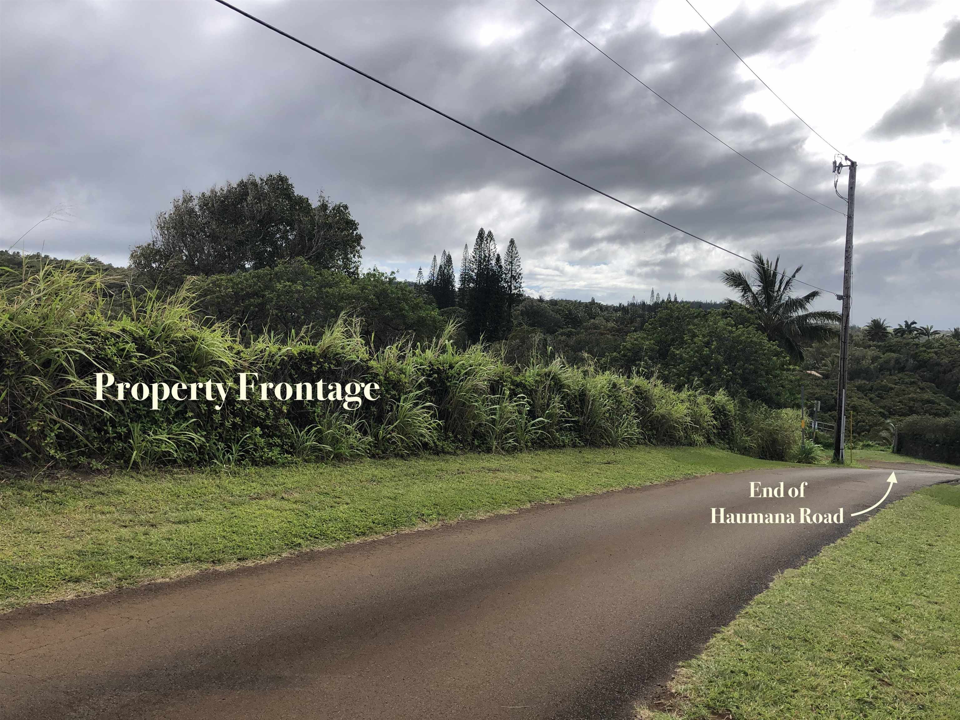 0 Haumana Road, Unit A Haiku, HI 96708 - Photo 7 of 24 a view of a street with a big yard