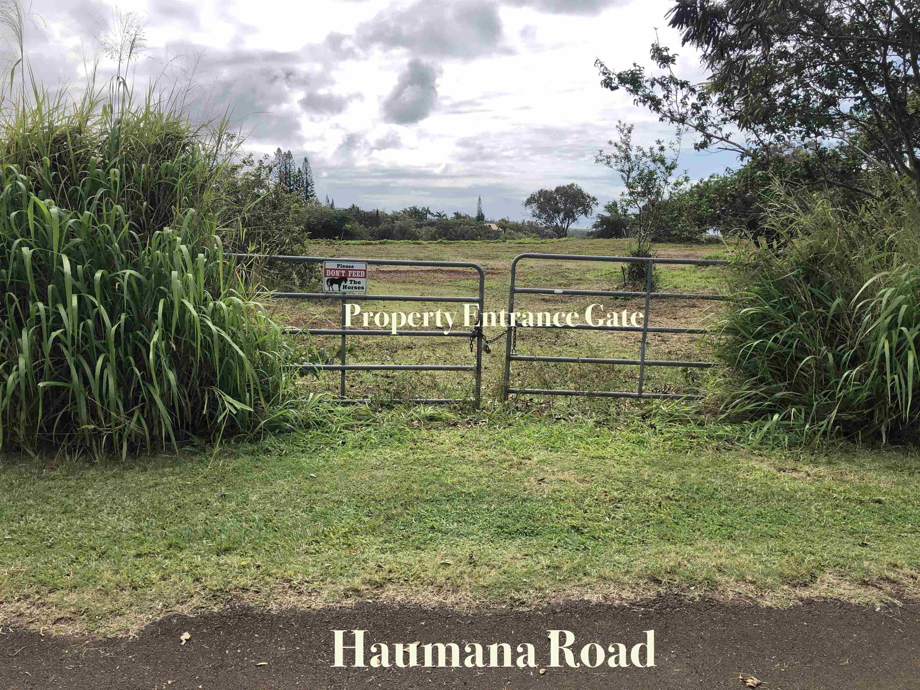 0 Haumana Road, Unit A Haiku, HI 96708 - Photo 9 of 24 a view of lake with a yard