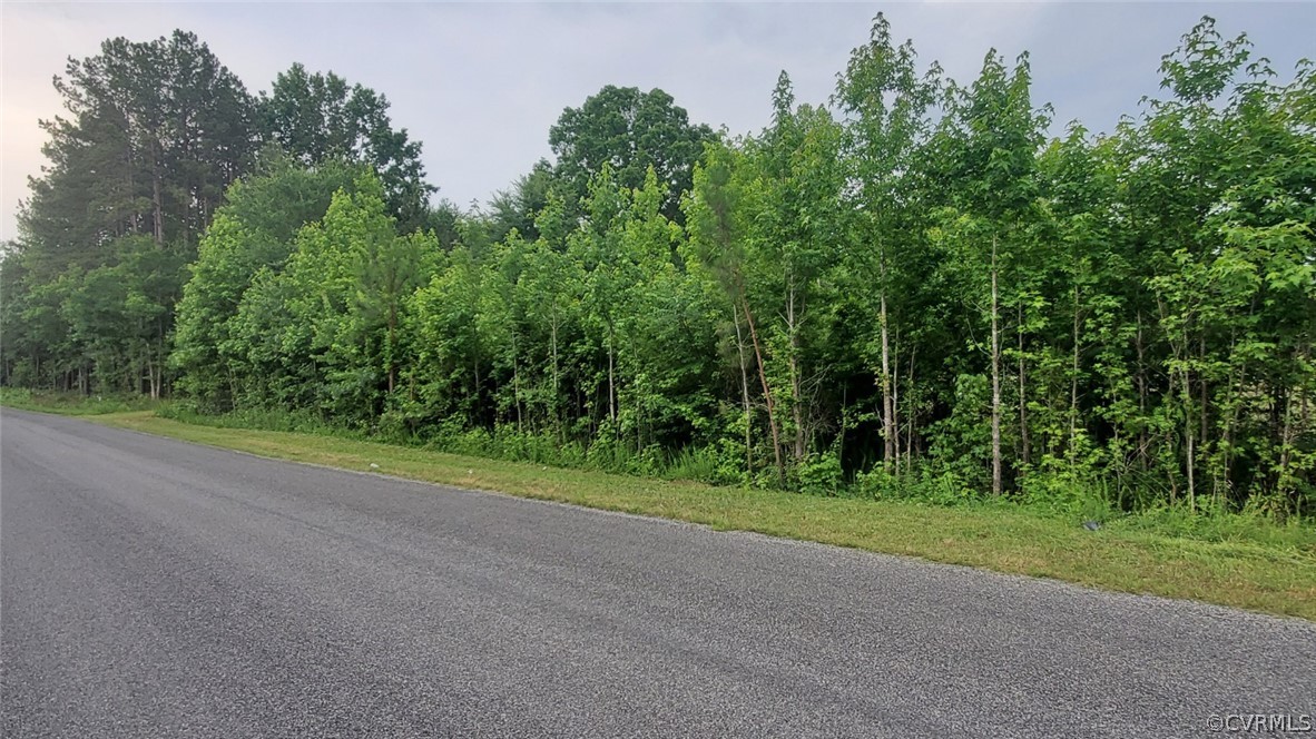 15 Johnson Road Jetersville, VA 23083 - Photo 4 of 9 Gallery Image 4
