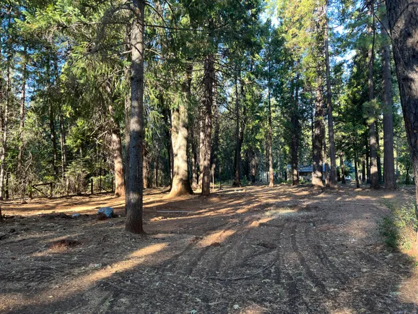 a view of road with trees